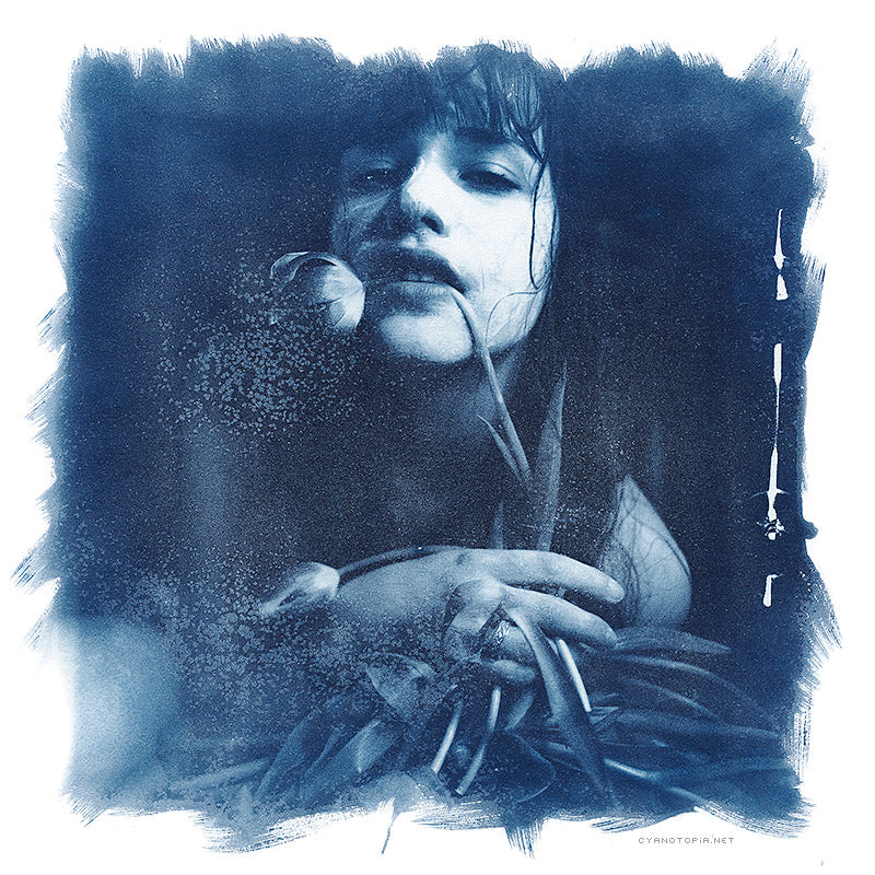 Cyanotype 50x50 cm